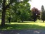 lawn